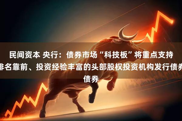 民间资本 央行：债券市场“科技板”将重点支持排名靠前、投资经验丰富的头部股权投资机构发行债券