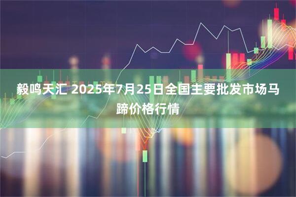毅鸣天汇 2025年7月25日全国主要批发市场马蹄价格行情