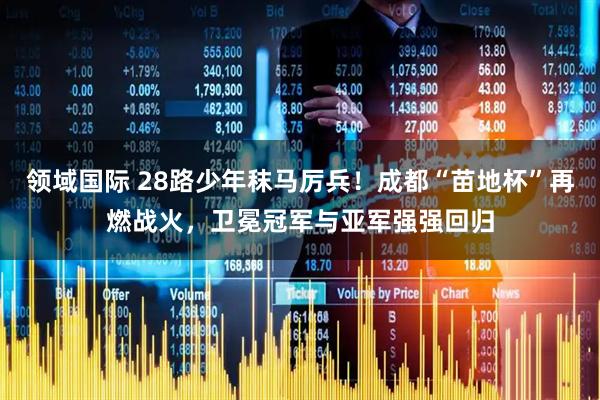 领域国际 28路少年秣马厉兵！成都“苗地杯”再燃战火，卫冕冠军与亚军强强回归